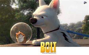 Bolt